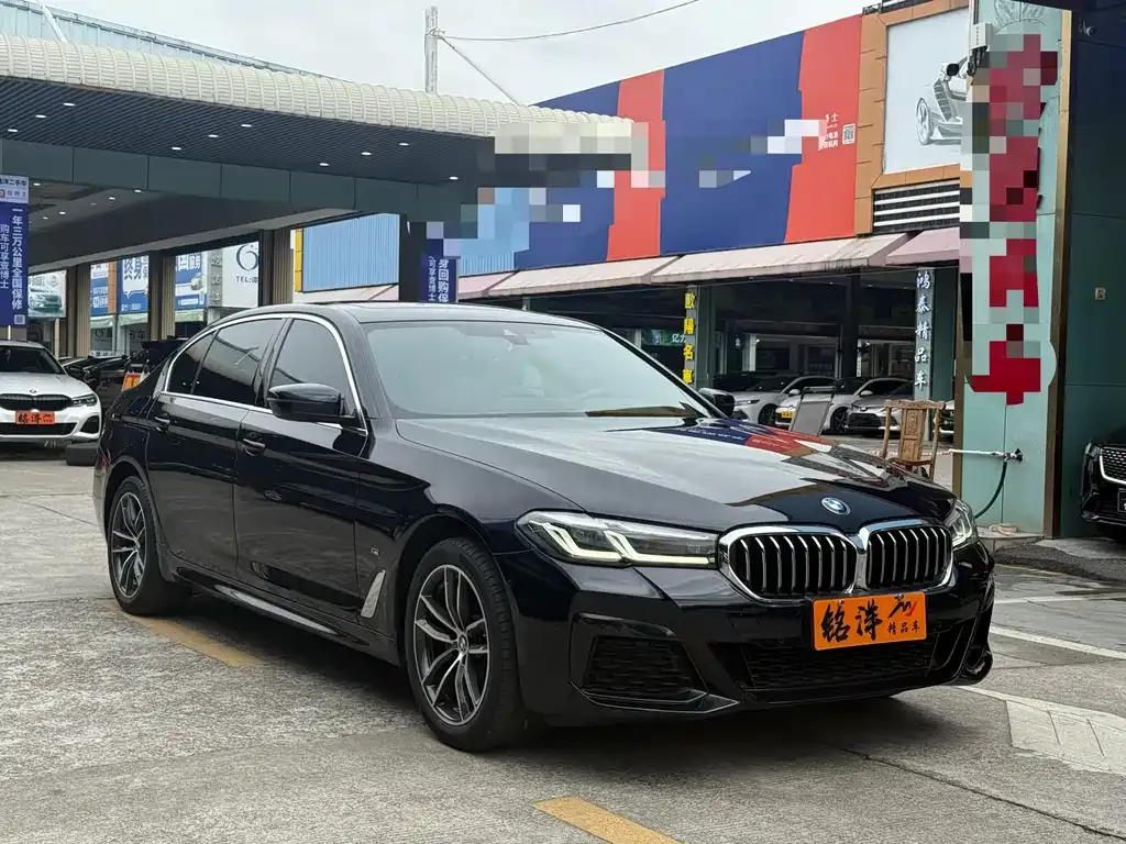 BMW 5 Series 2022 из CN, фото 3