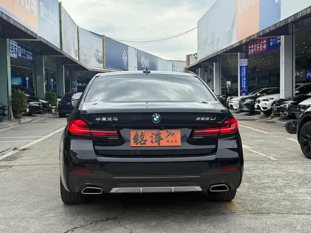 BMW 5 Series 2022 из CN, фото 5