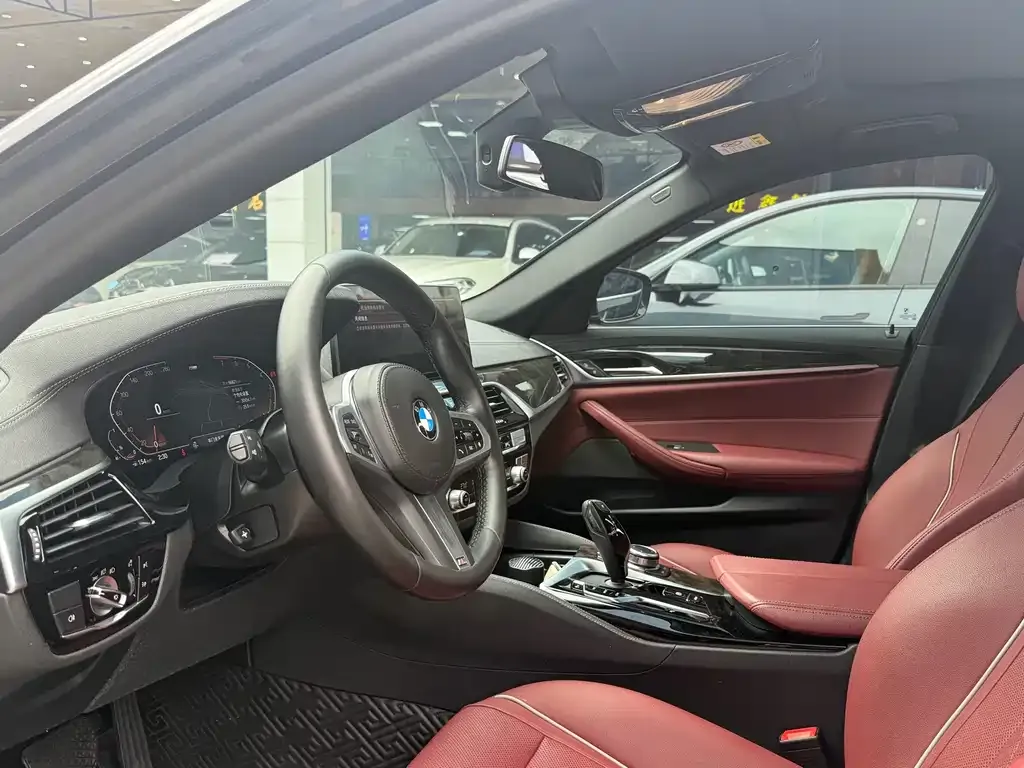 BMW 5 Series 2022 из CN, фото 7