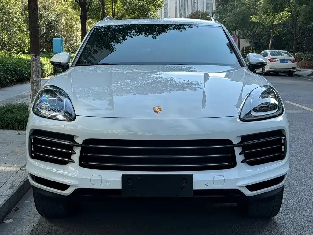 Porsche Cayenne 2021 из CN, фото 2