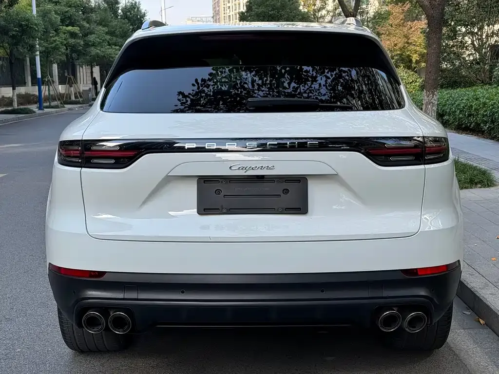 Porsche Cayenne 2021 из CN, фото 4