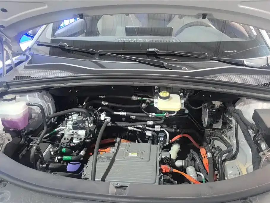 BYD PLUS New Energy 2025 из CN, фото 10