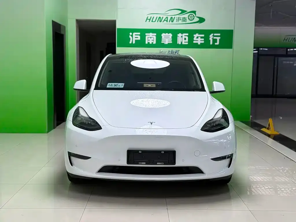 Tesla Model Y 2023 из CN, фото 2
