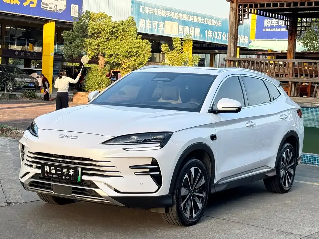 BYD PLUS New Energy 2025 из CN, фото 1