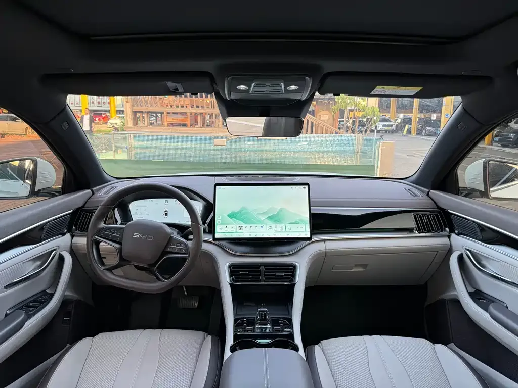 BYD PLUS New Energy 2025 из CN, фото 10