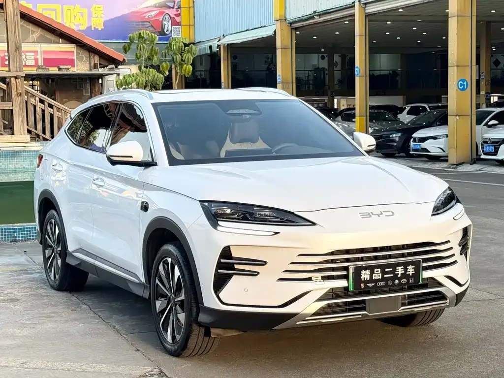 BYD PLUS New Energy 2025 из CN, фото 2