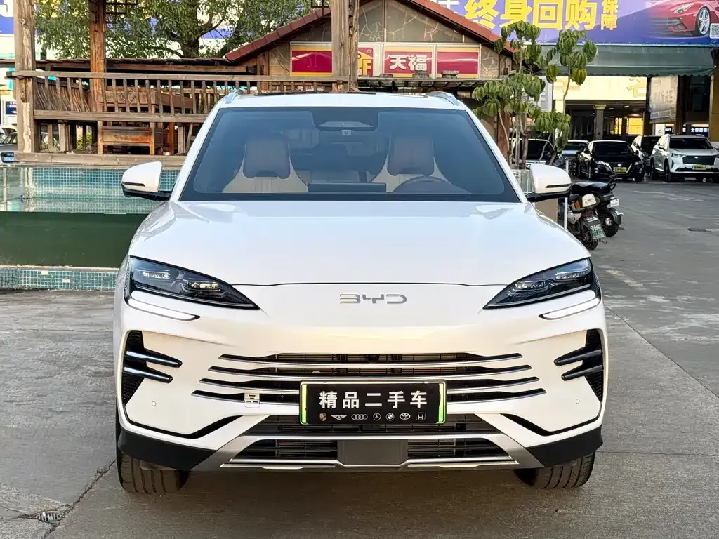 BYD PLUS New Energy 2025 из CN, фото 3