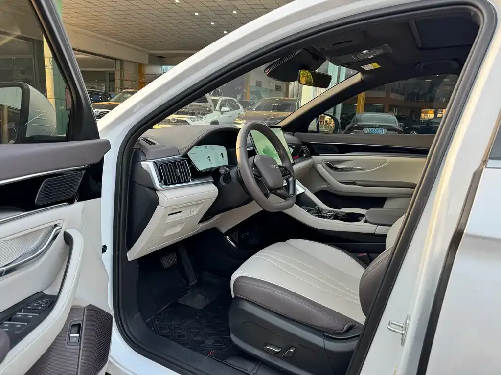 BYD PLUS New Energy 2025 из CN, фото 6