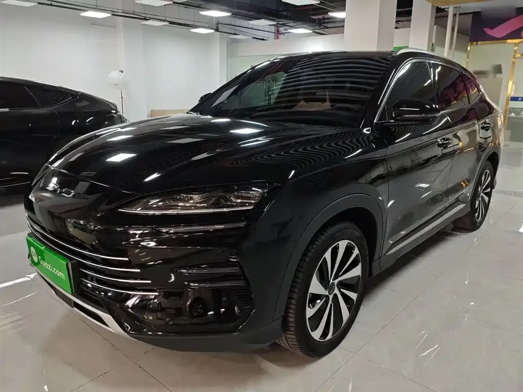 BYD PLUS New Energy 2024 из CN, фото 1
