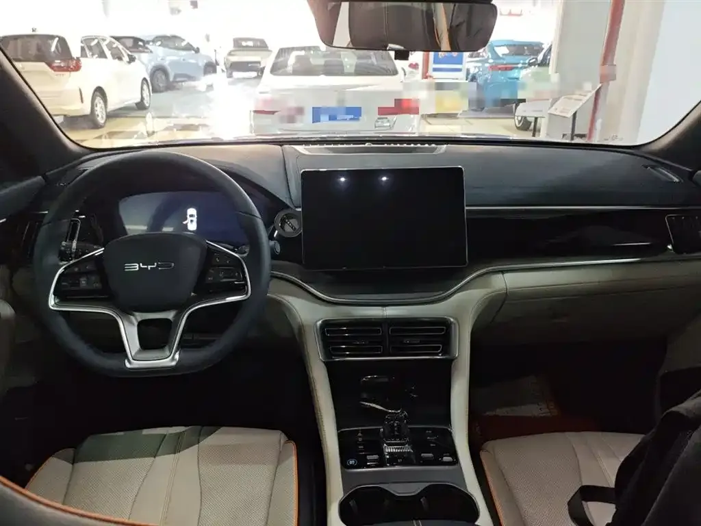 BYD PLUS New Energy 2024 из CN, фото 10