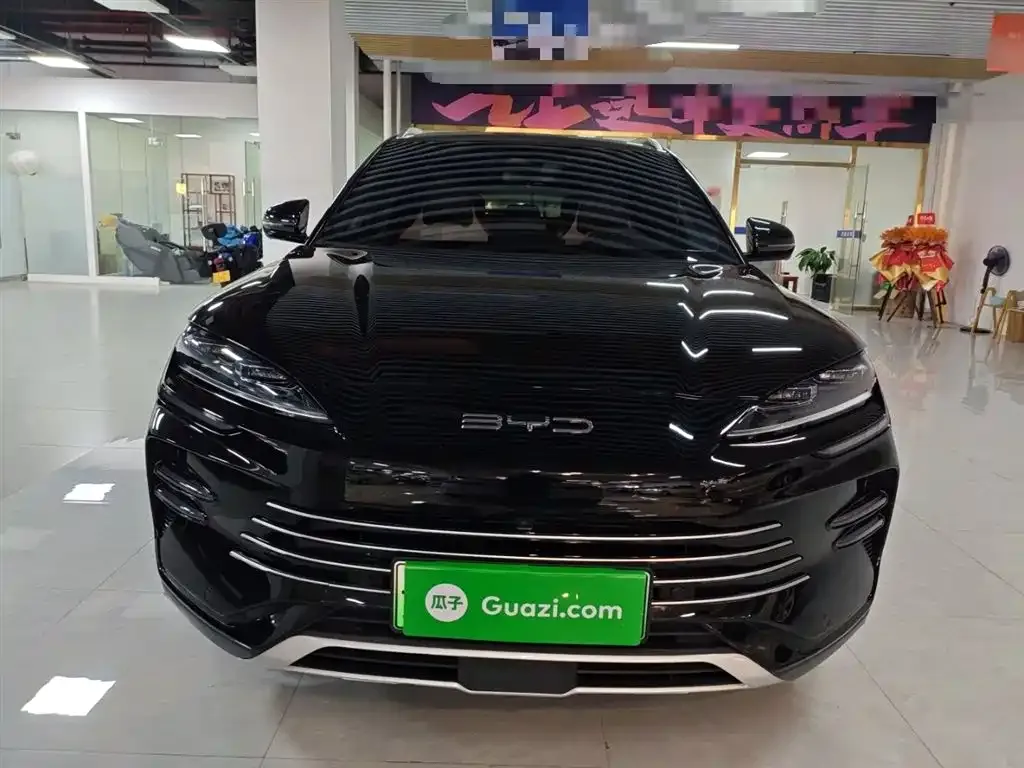 BYD PLUS New Energy 2024 из CN, фото 3