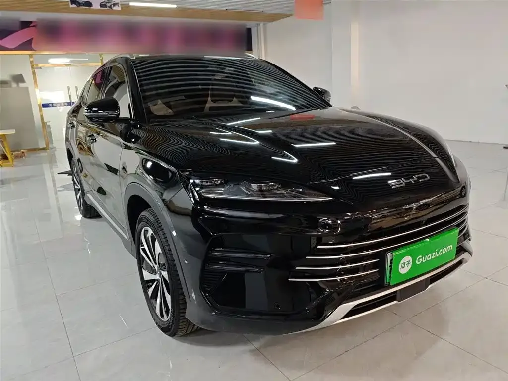 BYD PLUS New Energy 2024 из CN, фото 4