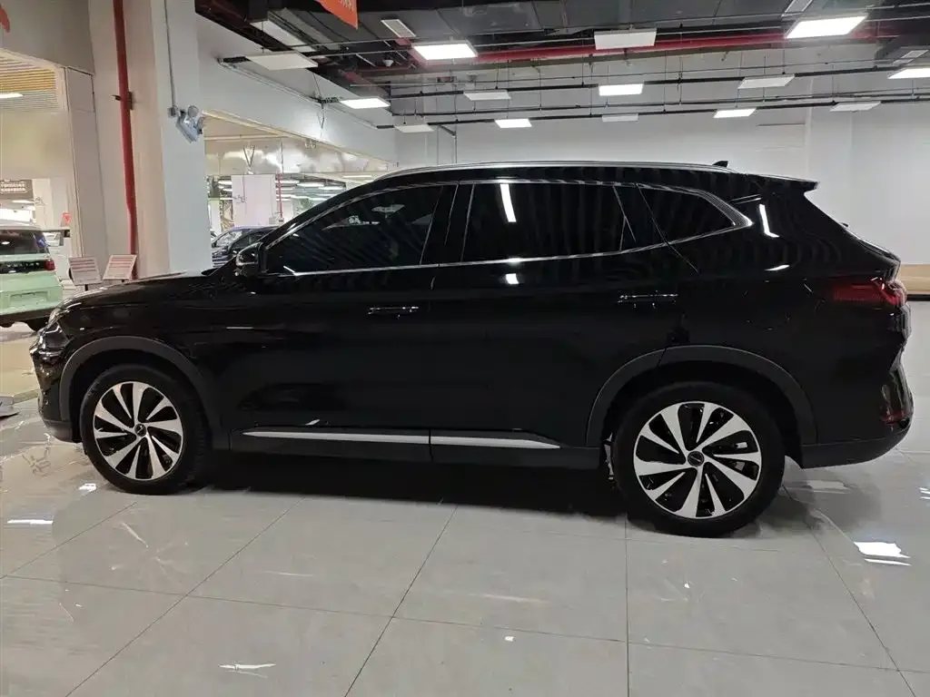 BYD PLUS New Energy 2024 из CN, фото 5