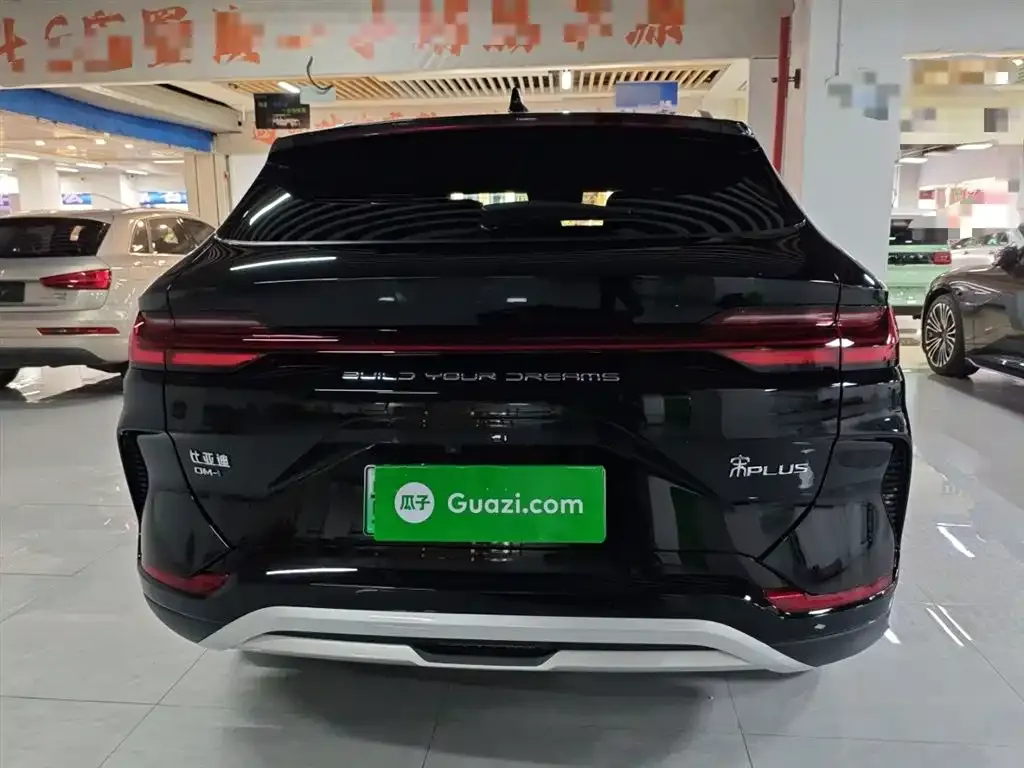 BYD PLUS New Energy 2024 из CN, фото 6
