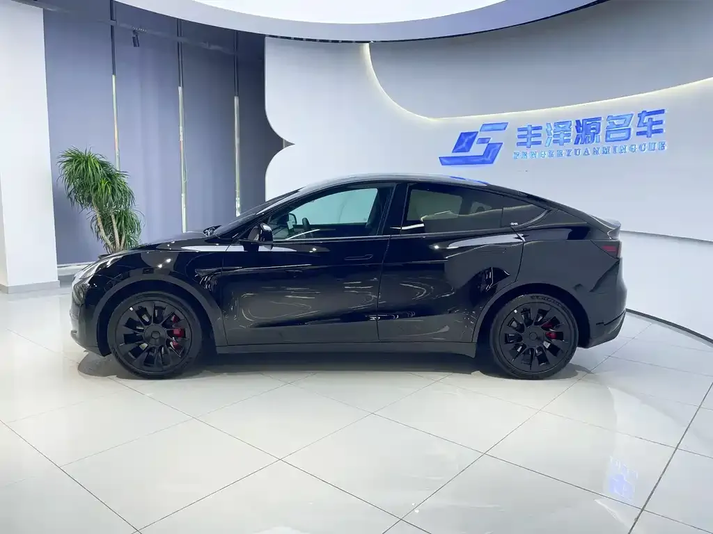 Tesla Model Y 2022 из CN, фото 3