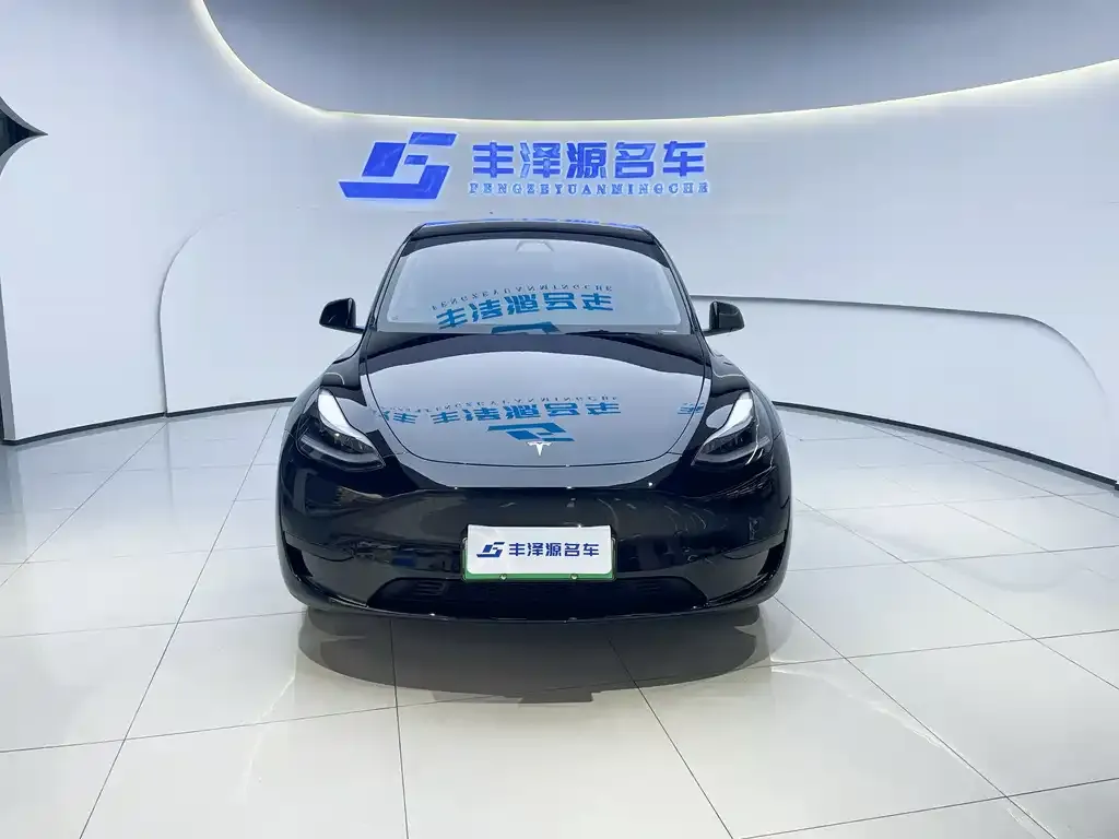 Tesla Model Y 2022 из CN, фото 9