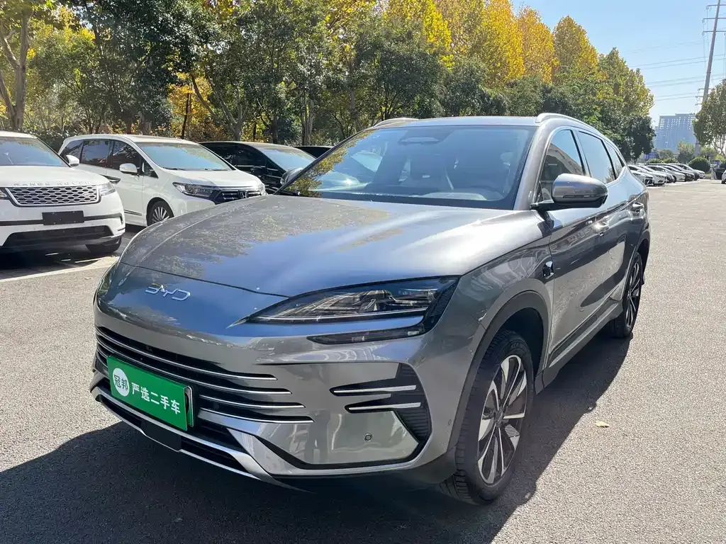 BYD PLUS New Energy — фото 1