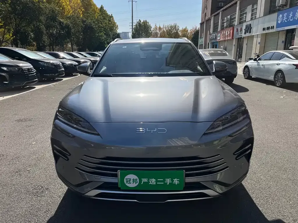 BYD PLUS New Energy — фото 2