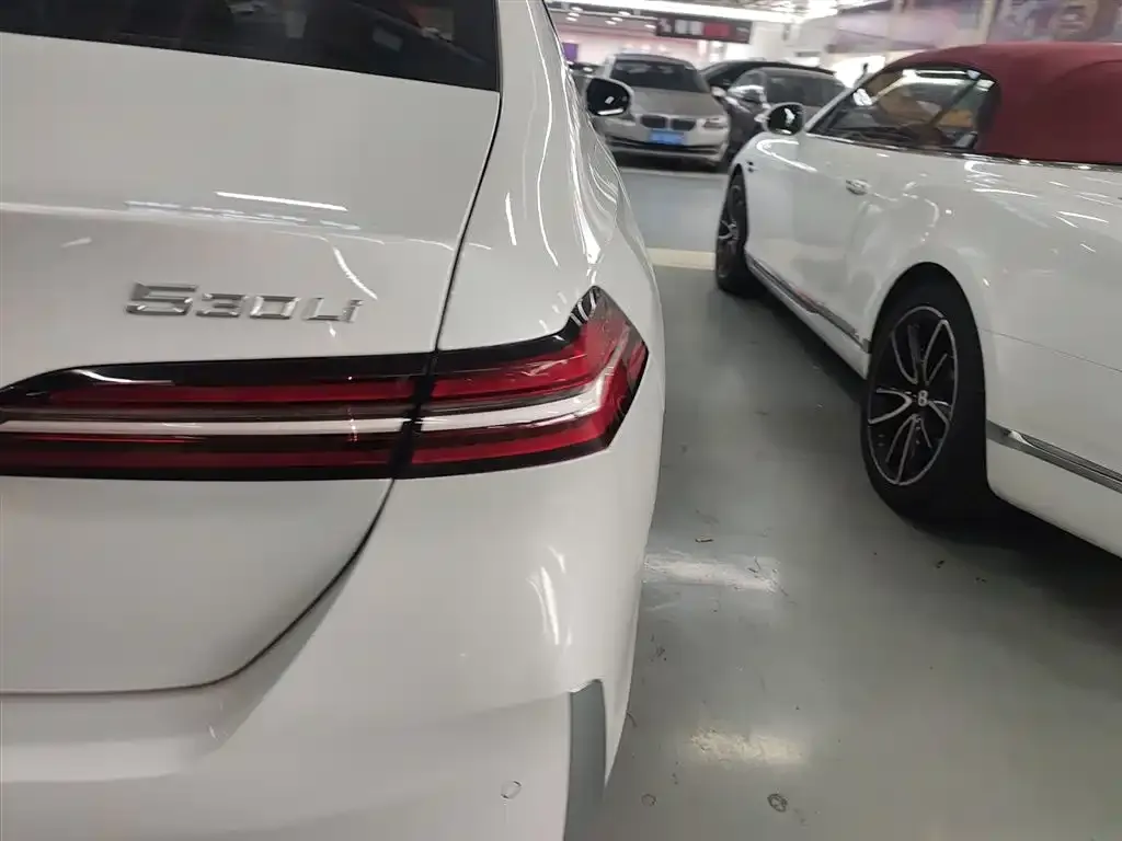 BMW 5 Series 2024 из CN, фото 8