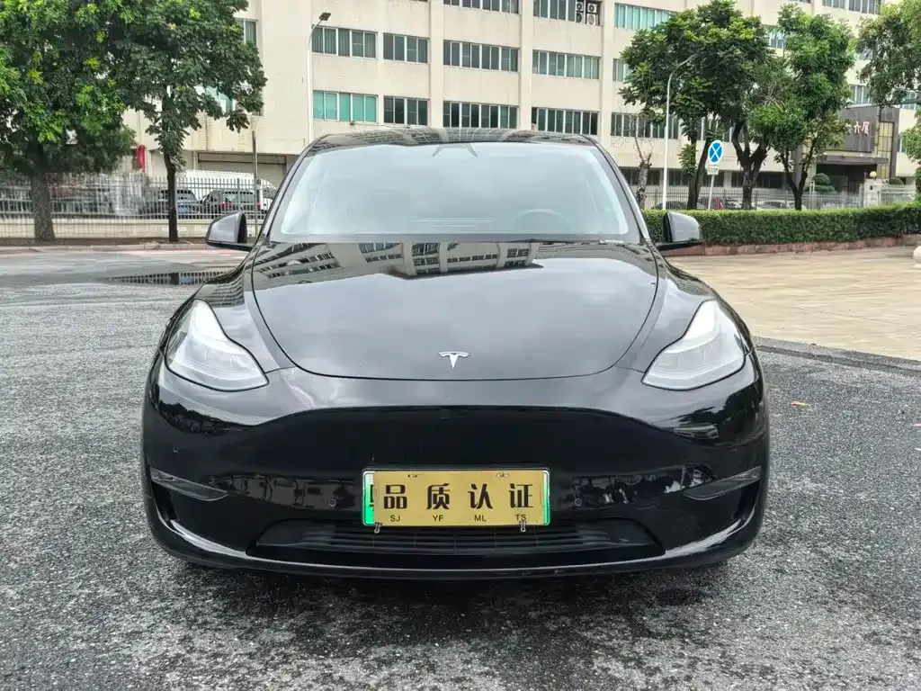 Tesla Model Y — фото 1