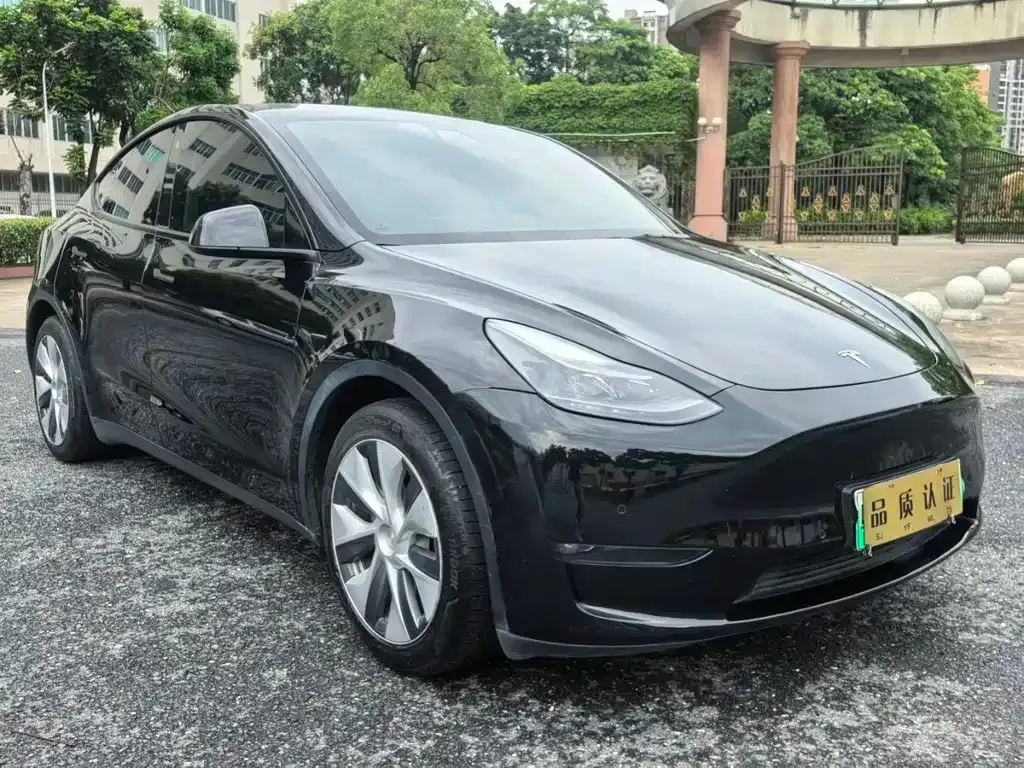 Tesla Model Y — фото 2