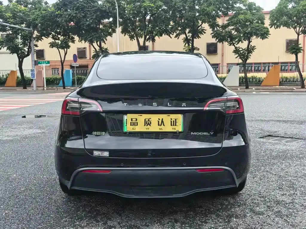 Tesla Model Y — фото 8