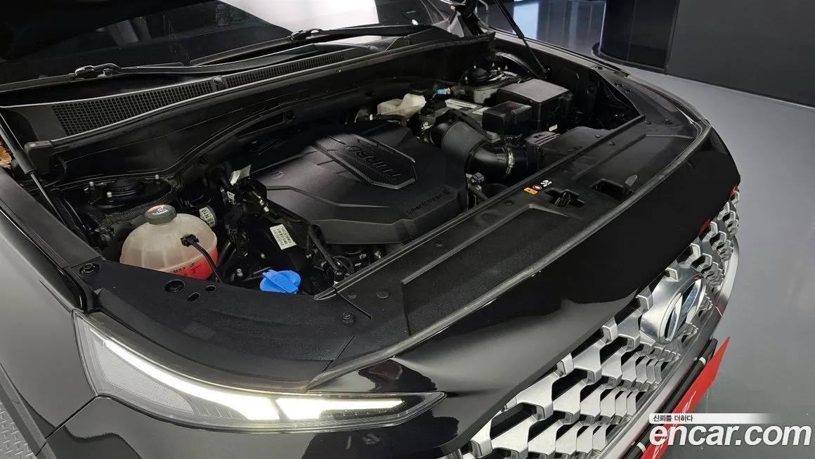Hyundai Santafe 2021 из KR, фото 6