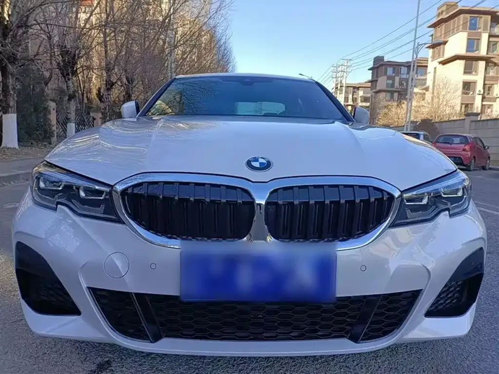 BMW 3 Series 2022 из CN, фото 10