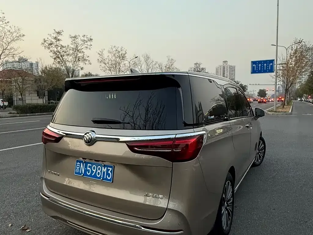 Buick GL8 2024 из CN, фото 8