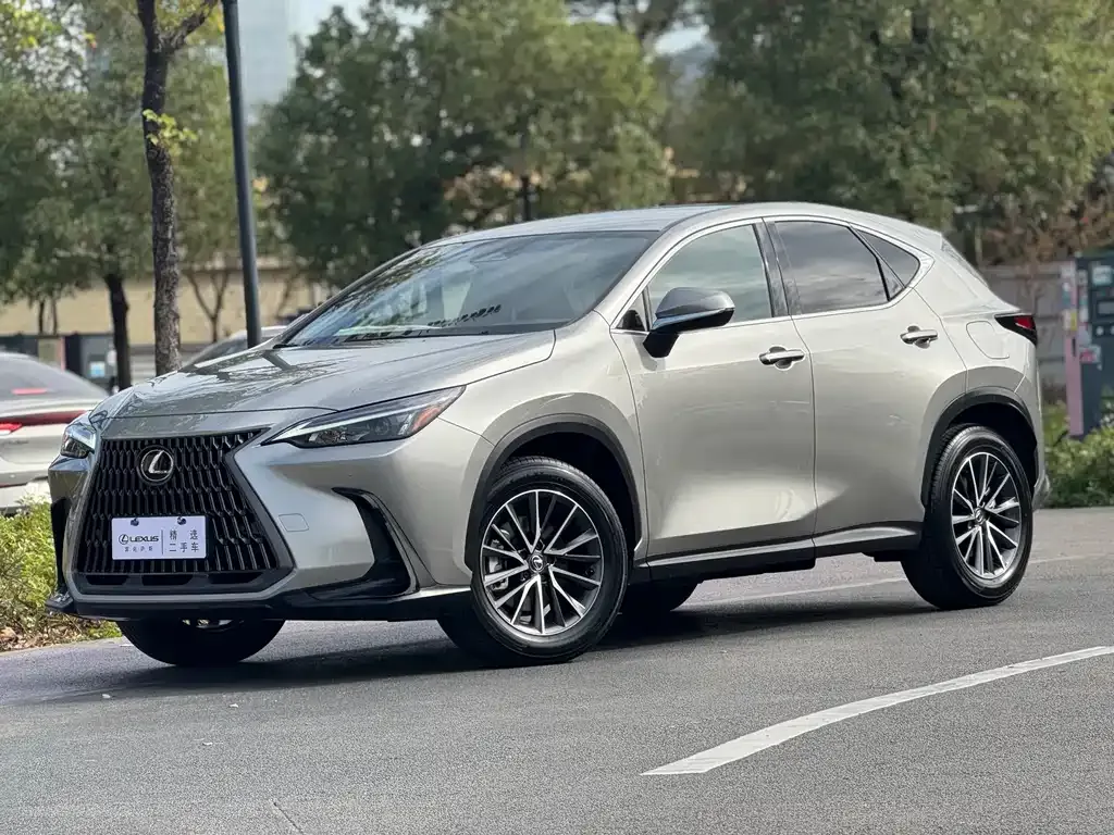 Lexus NX 2023 из CN, фото 1