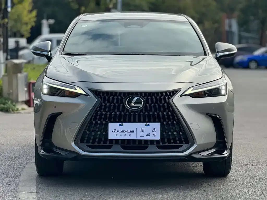 Lexus NX 2023 из CN, фото 2