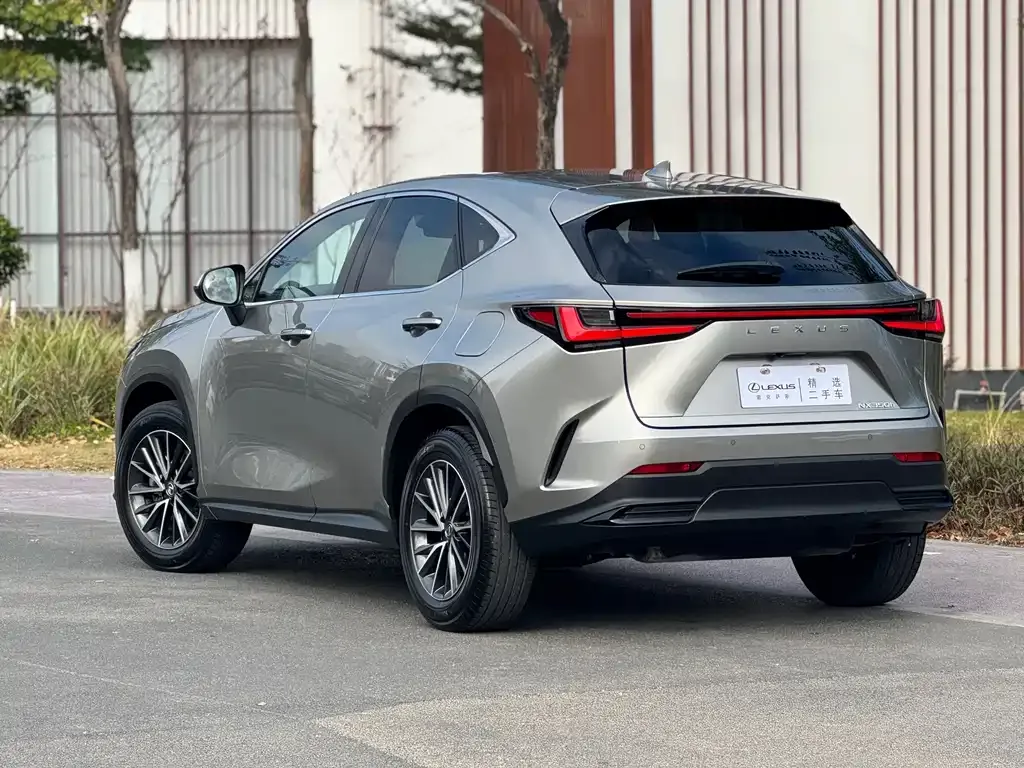 Lexus NX 2023 из CN, фото 4