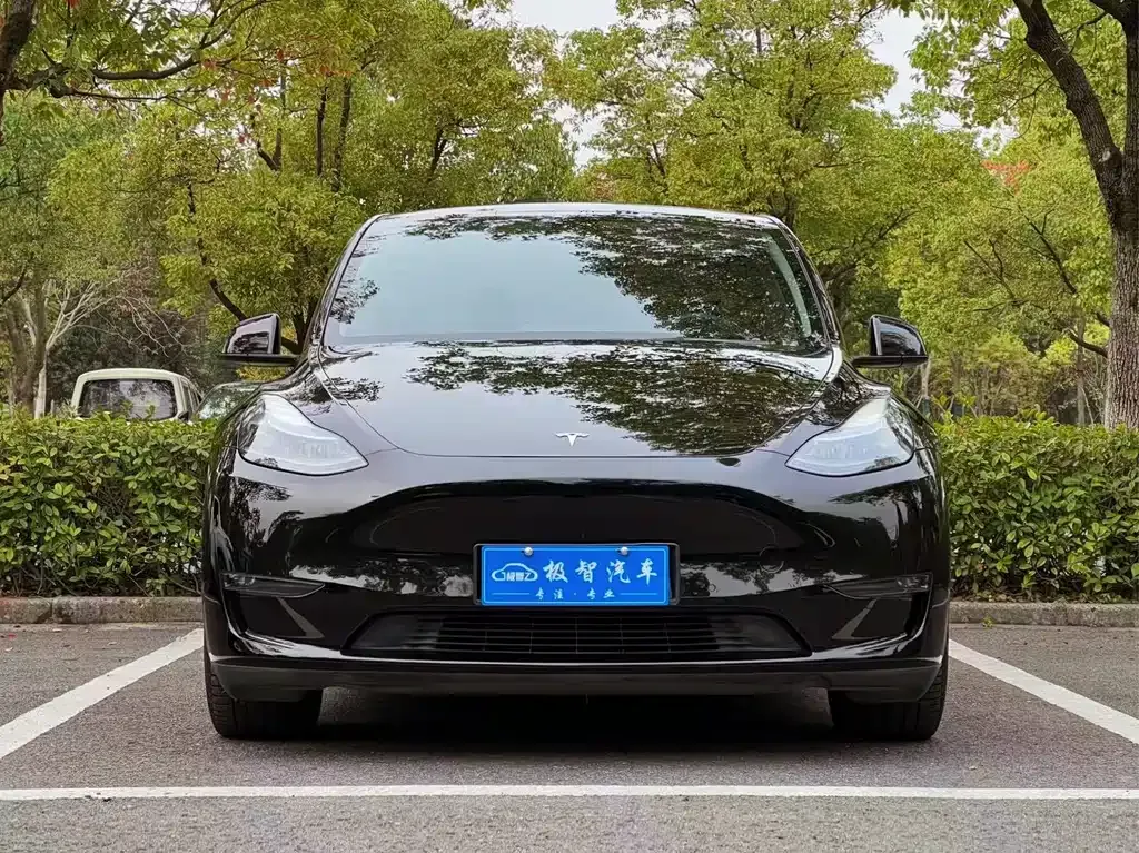 Tesla Model Y 2023 из CN, фото 2