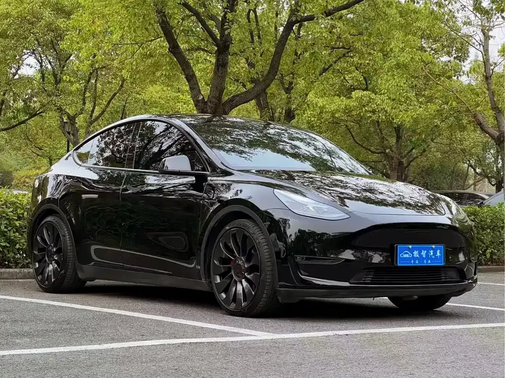 Tesla Model Y 2023 из CN, фото 3