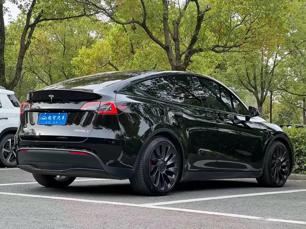 Tesla Model Y 2023 из CN, фото 5