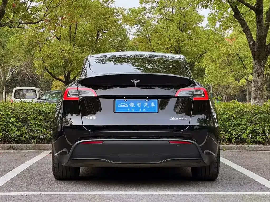 Tesla Model Y 2023 из CN, фото 6