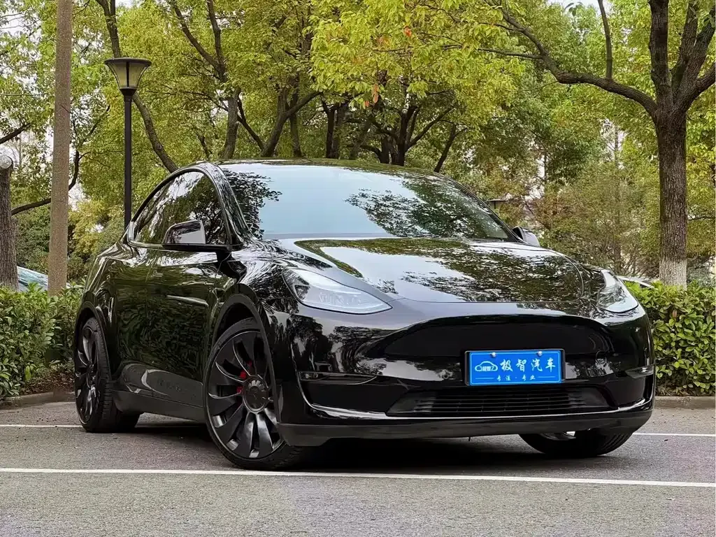 Tesla Model Y 2023 из CN, фото 9