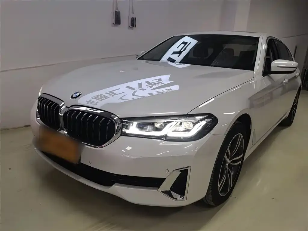 BMW 5 Series 2021 из CN, фото 1