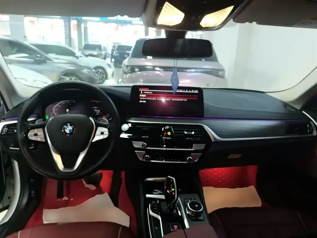 BMW 5 Series 2021 из CN, фото 10