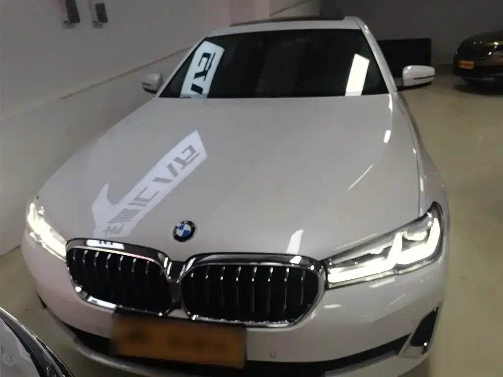 BMW 5 Series 2021 из CN, фото 3