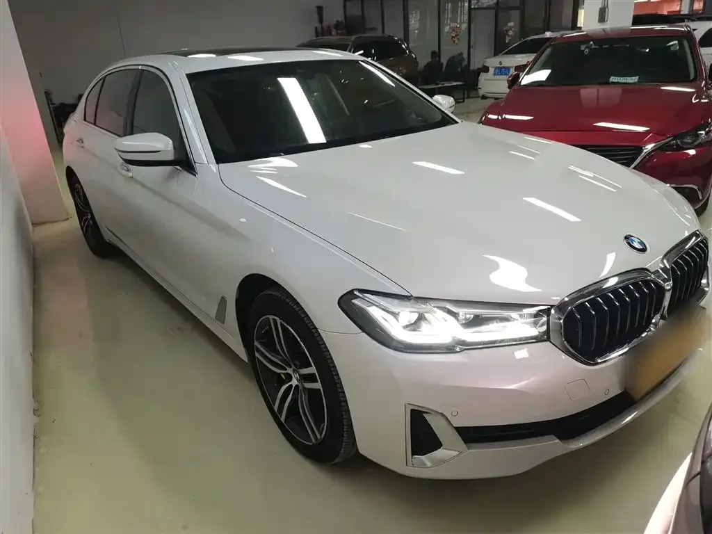 BMW 5 Series 2021 из CN, фото 4