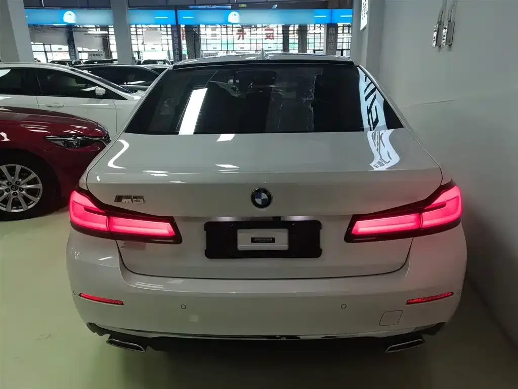 BMW 5 Series 2021 из CN, фото 6