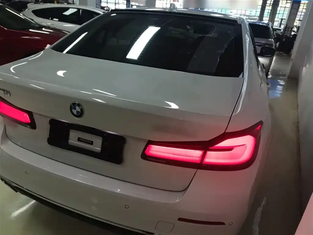 BMW 5 Series 2021 из CN, фото 7