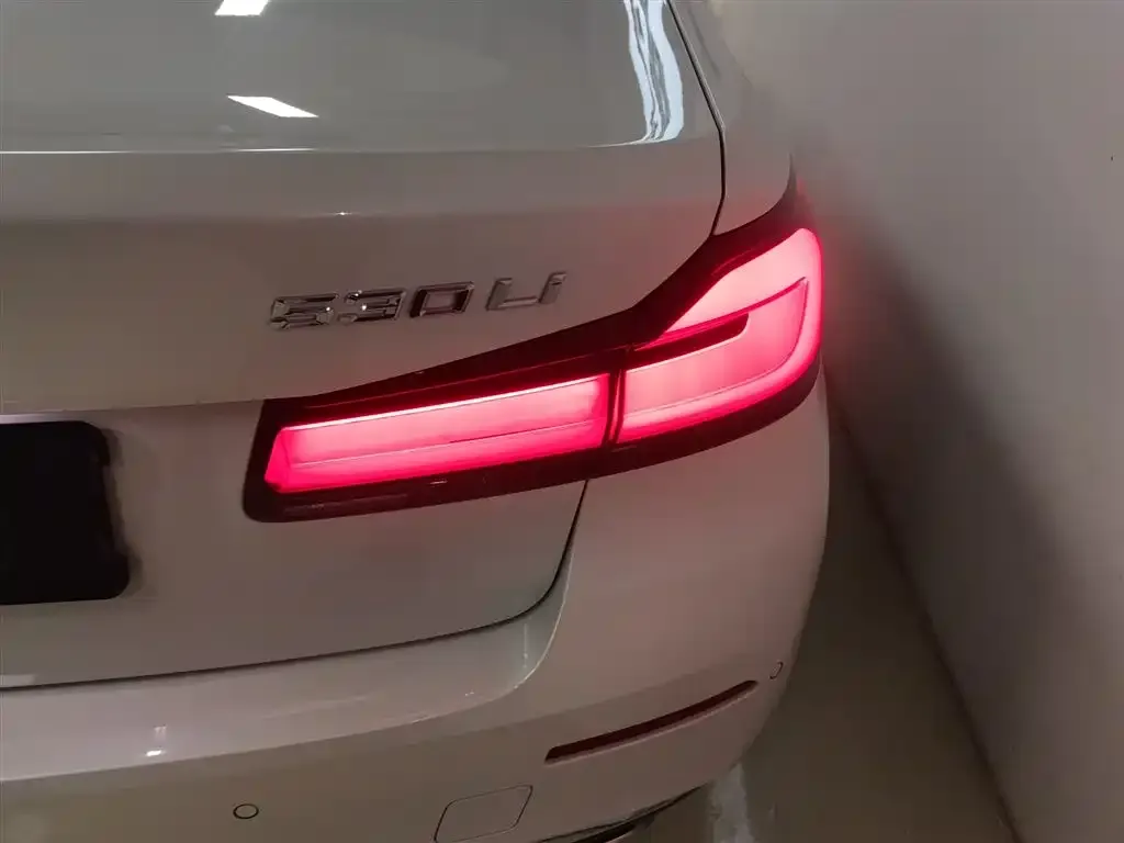 BMW 5 Series 2021 из CN, фото 8