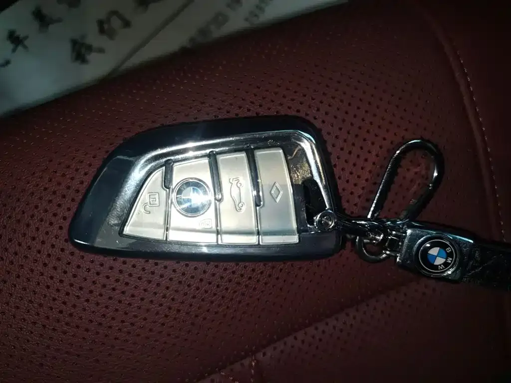 BMW 5 Series 2021 из CN, фото 9
