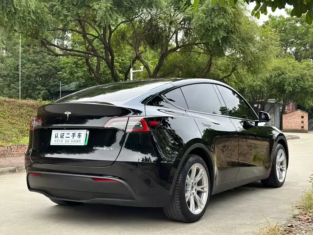 Tesla Model Y 2022 из CN, фото 9