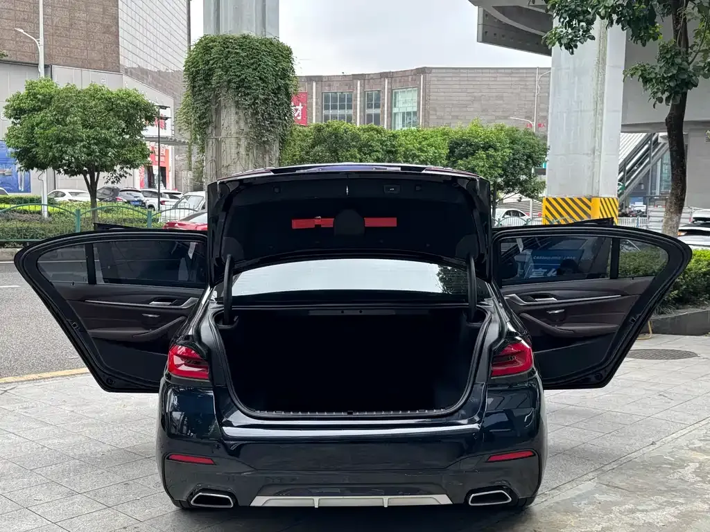 BMW 5 Series 2021 из CN, фото 10