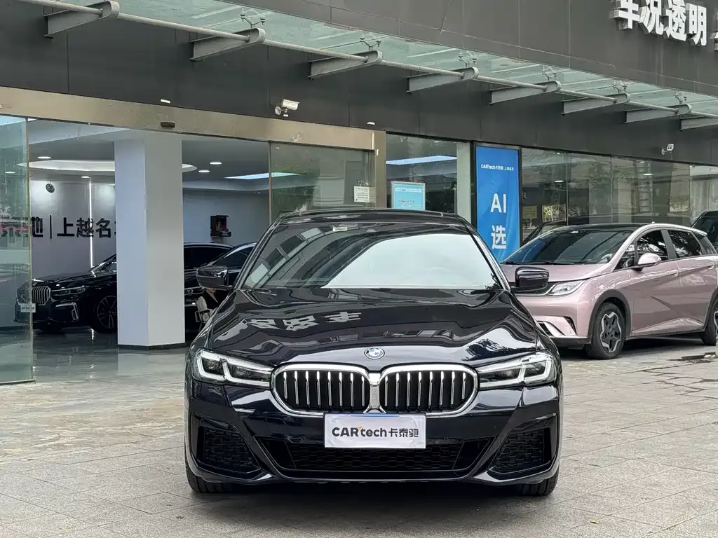 BMW 5 Series 2021 из CN, фото 2