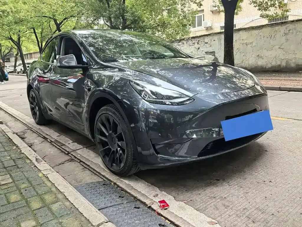 Tesla Model Y 2024 из CN, фото 1