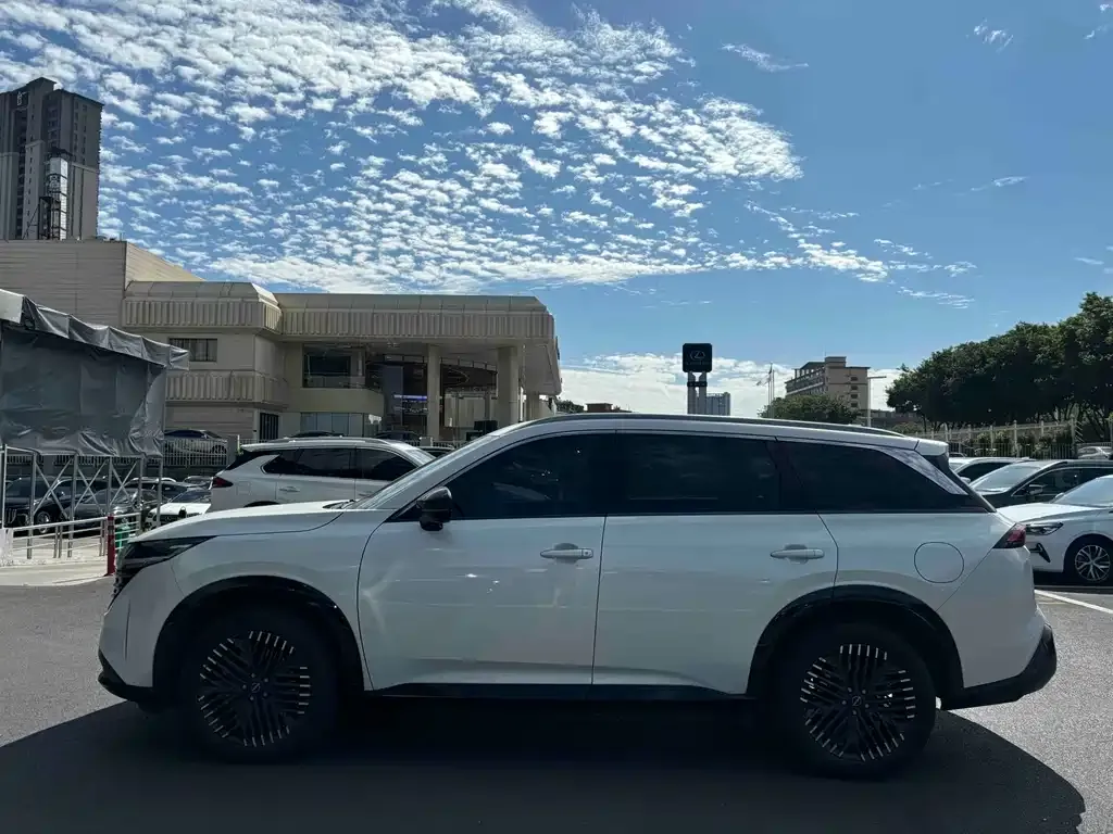Nissan Teramont 2024 из CN, фото 7
